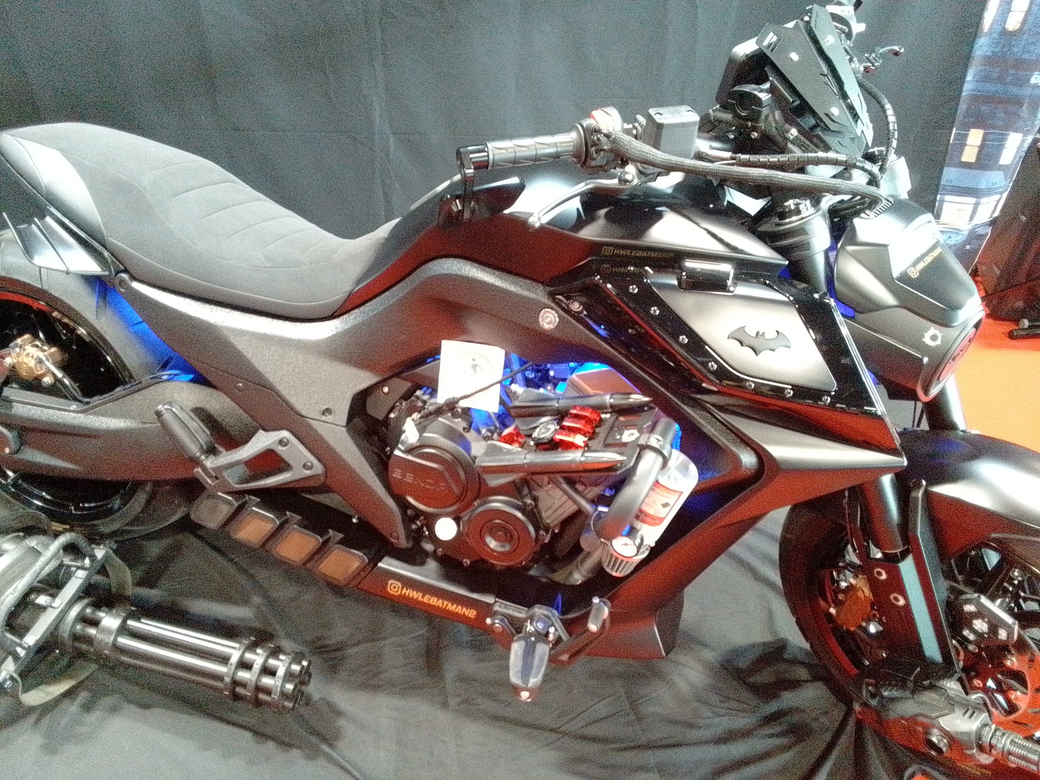 cover ulmia